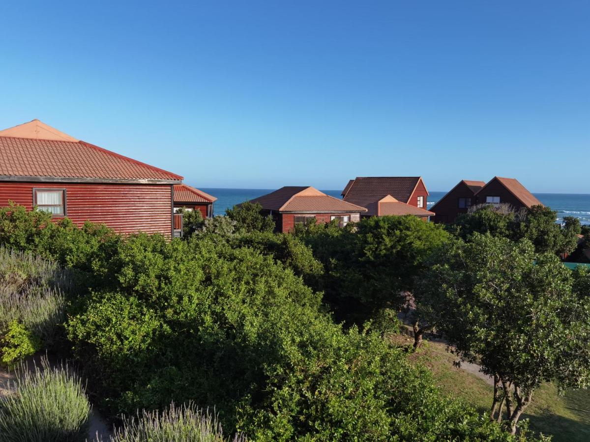 Aston Woods Bed And Breakfast Jeffreysbaai Buitenkant foto